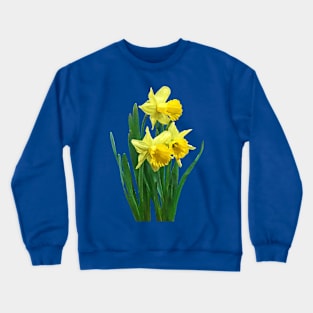 Daffodils - Daffodils Tall and Short Crewneck Sweatshirt